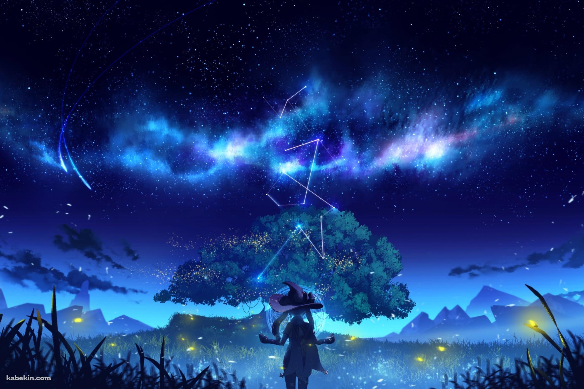 星空を見つめるモナの後ろ姿 / 原神の壁紙(2000px x 1333px) 高画質 PC・デスクトップ用