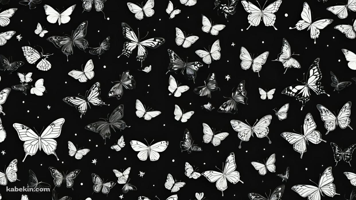 モノクロの蝶と花 / 黒地の背景の壁紙(1242px x 698px) 高画質 PC・デスクトップ用