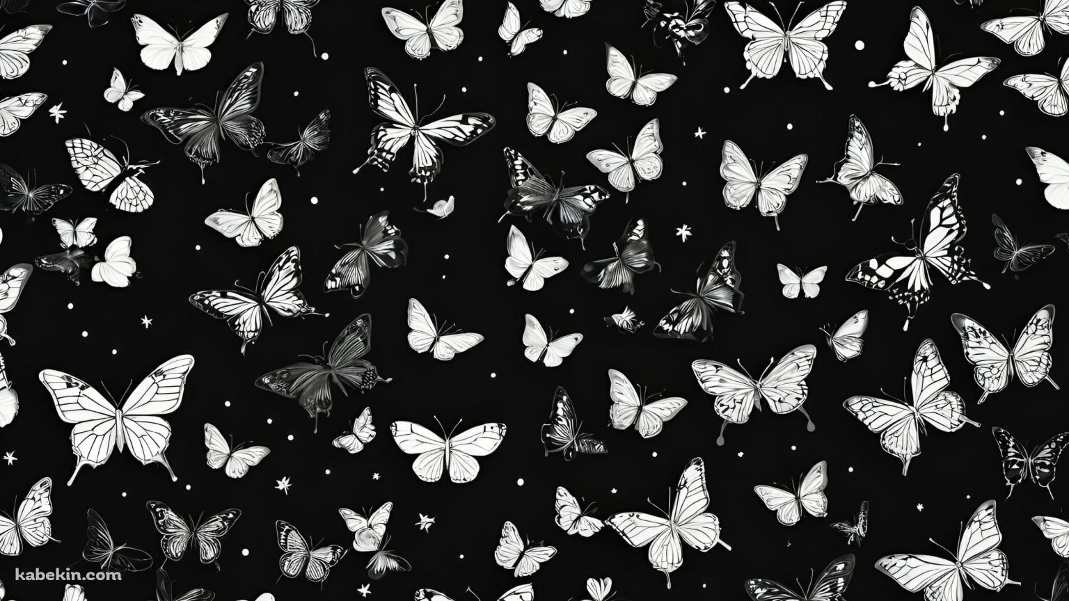 モノクロの蝶と花 / 黒地の背景の壁紙(1536px x 864px) 高画質 PC・デスクトップ用