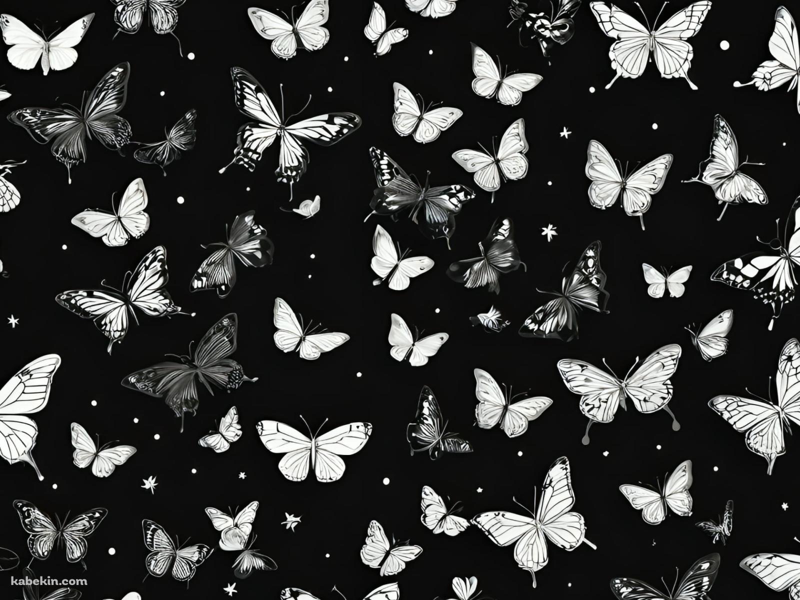 モノクロの蝶と花 / 黒地の背景の壁紙(1600px x 1200px) 高画質 PC・デスクトップ用