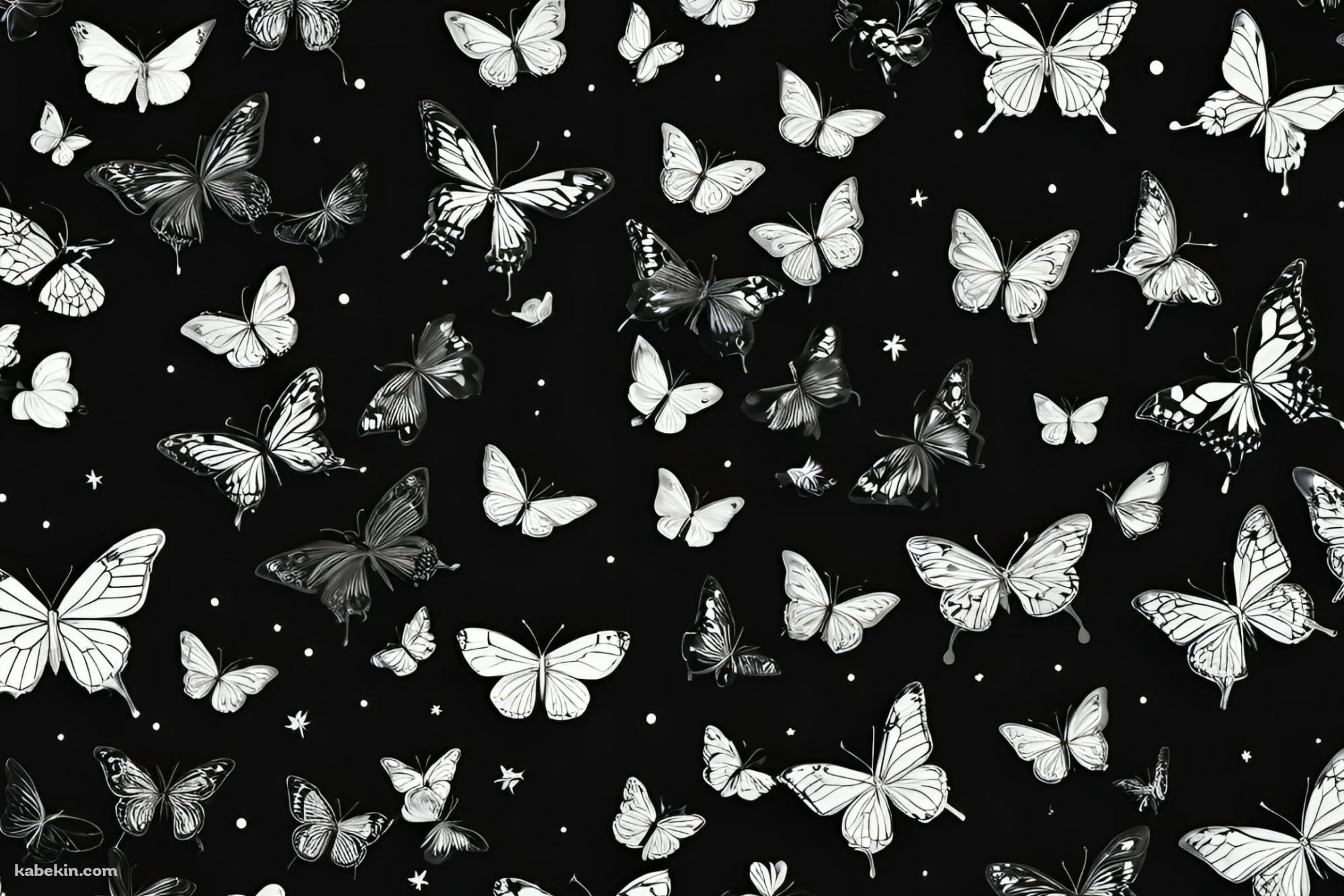 モノクロの蝶と花 / 黒地の背景の壁紙(2000px x 1333px) 高画質 PC・デスクトップ用