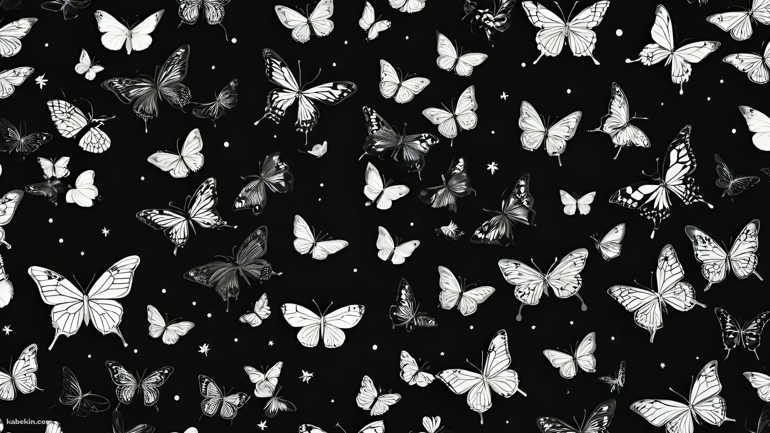 モノクロの蝶と花 / 黒地の背景の壁紙(2560px x 1440px) 高画質 PC・デスクトップ用