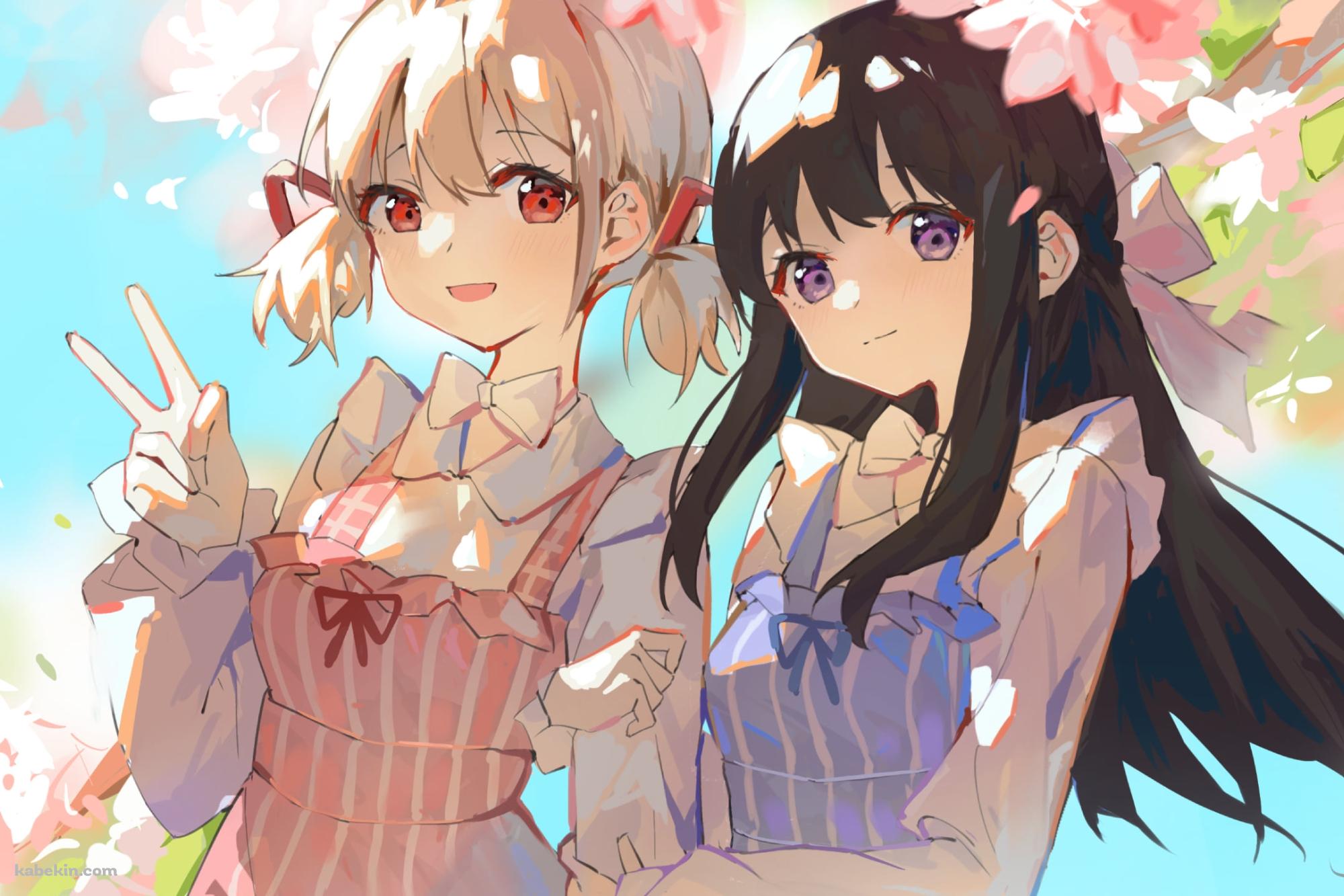 桜の花と腕を組む錦木千束と井ノ上たきな / リコリス・リコイルの壁紙(2000px x 1333px) 高画質 PC・デスクトップ用