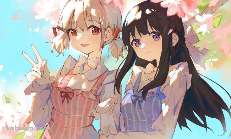 桜の花と腕を組む錦木千束と井ノ上たきな / リコリス・リコイルの壁紙(800px x 480px) 高画質 PC・デスクトップ用
