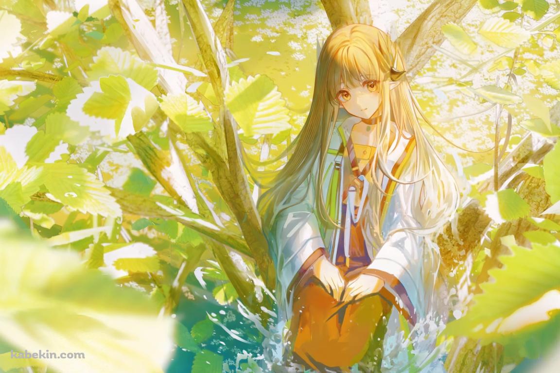 緑の木々とミュルジス / アークナイツの壁紙(1152px x 768px) 高画質 PC・デスクトップ用