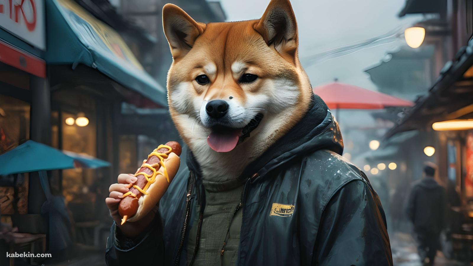 ホットドッグを食べる犬男の壁紙(1600px x 900px) 高画質 PC・デスクトップ用