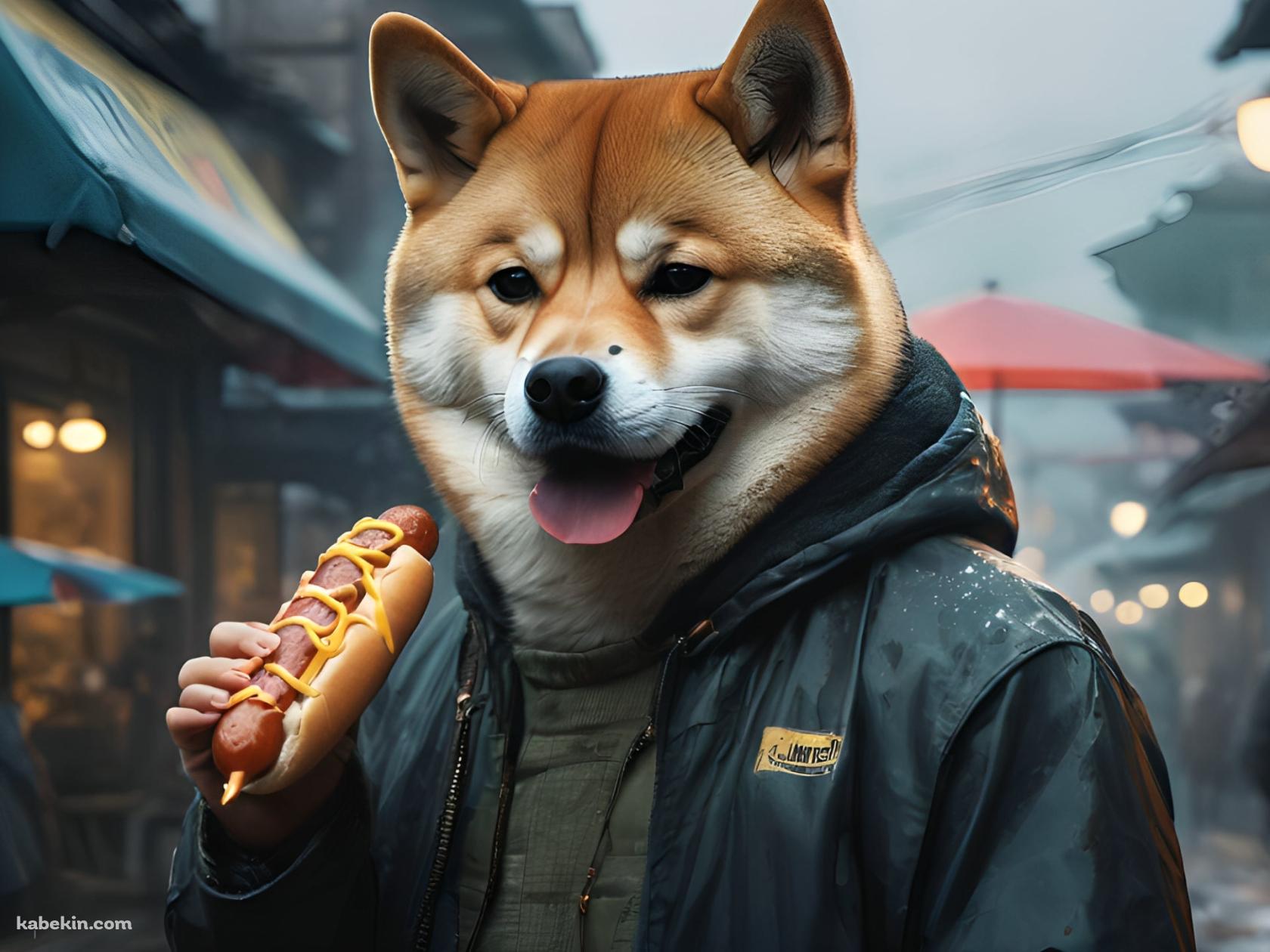 ホットドッグを食べる犬男の壁紙(1680px x 1260px) 高画質 PC・デスクトップ用