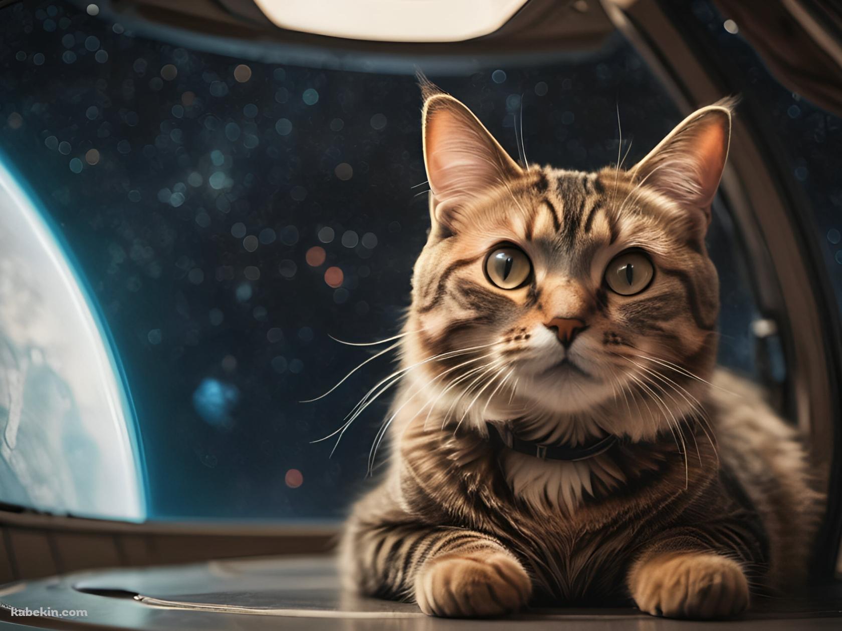 宇宙に行った猫 / 宇宙船 / 伏せ / 青い惑星の壁紙(1680px x 1260px) 高画質 PC・デスクトップ用
