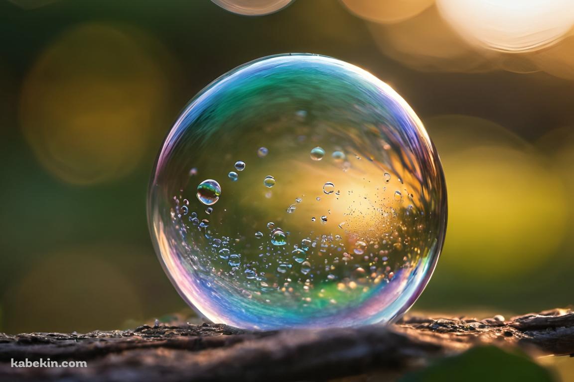 木の枝の上にある綺麗なシャボン玉の壁紙(1152px x 768px) 高画質 PC・デスクトップ用