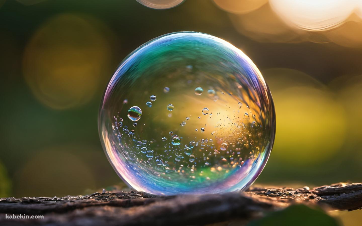 木の枝の上にある綺麗なシャボン玉の壁紙(1440px x 900px) 高画質 PC・デスクトップ用