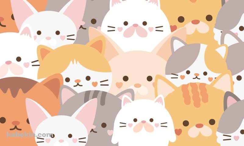 可愛いいろいろな猫のイラストの壁紙(800px x 480px) 高画質 PC・デスクトップ用
