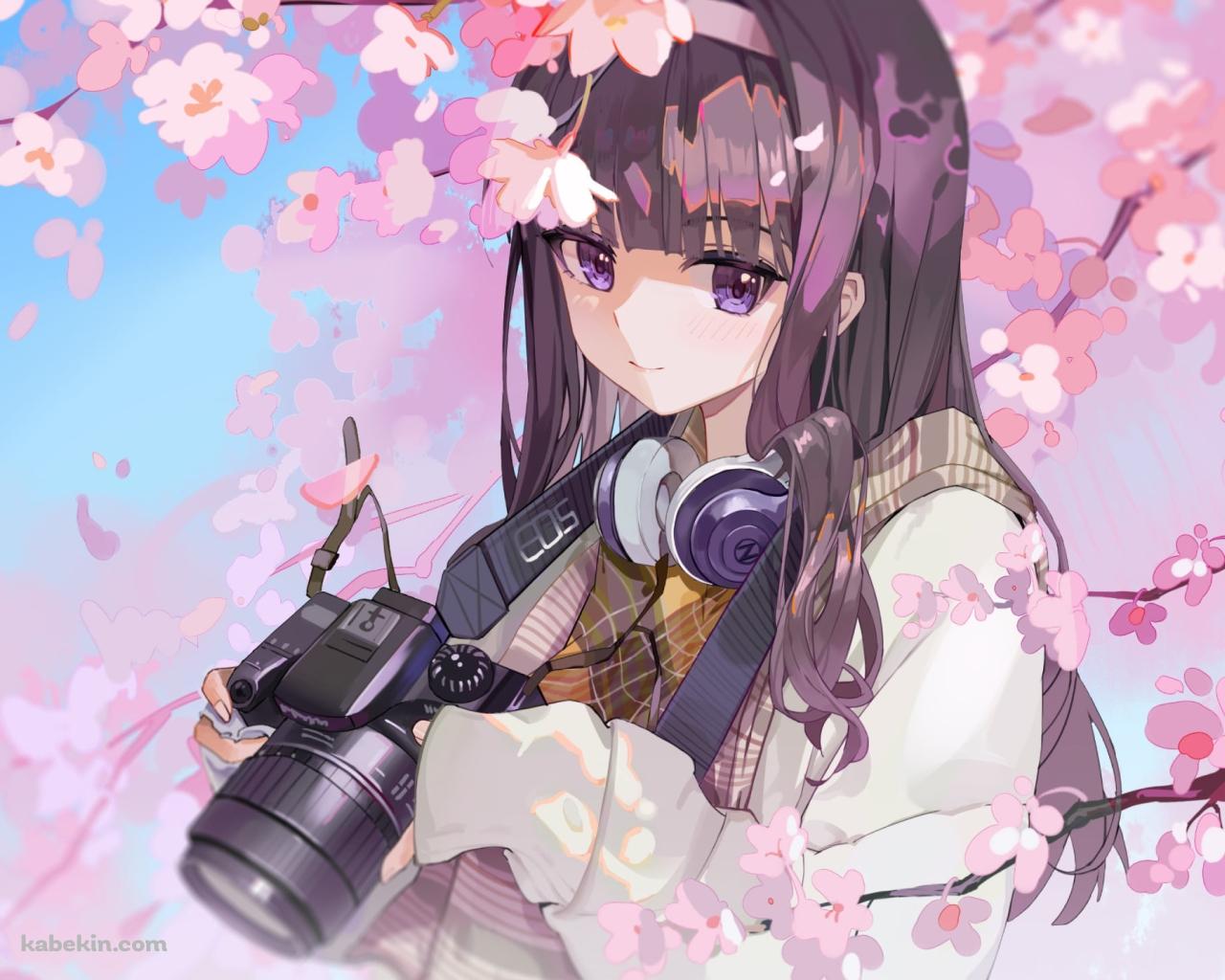 桜の花と一眼レフカメラを持つ大道寺知世 / カードキャプターさくらの壁紙(1280px x 1024px) 高画質 PC・デスクトップ用