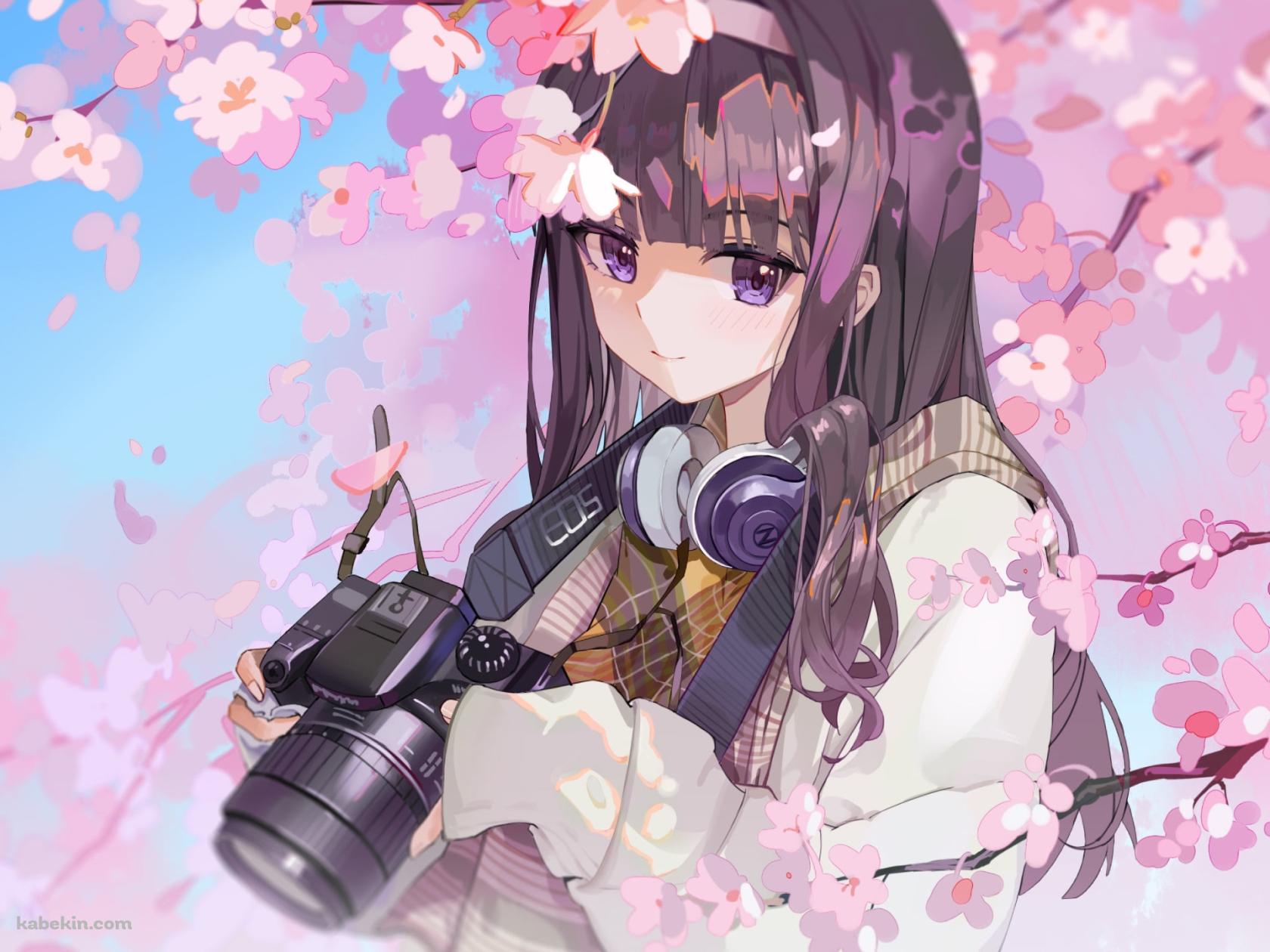 桜の花と一眼レフカメラを持つ大道寺知世 / カードキャプターさくらの壁紙(1680px x 1260px) 高画質 PC・デスクトップ用