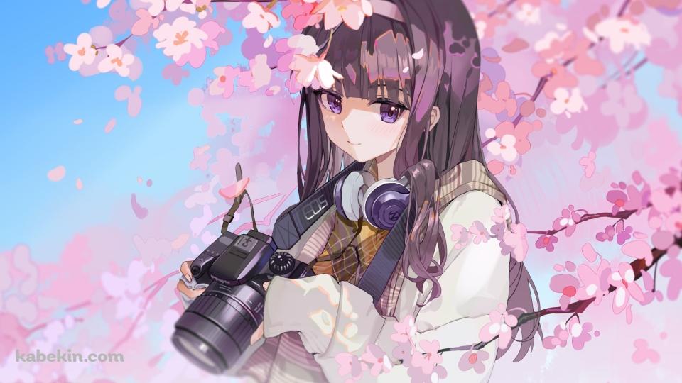 桜の花と一眼レフカメラを持つ大道寺知世 / カードキャプターさくらの壁紙(960px x 540px) 高画質 PC・デスクトップ用