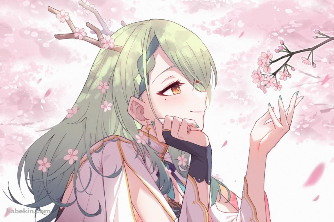 桜の花を愛でるセレス・ファウナ / ホロライブ / バーチャルYouTuber / Vtuberの壁紙(1152px x 768px) 高画質 PC・デスクトップ用