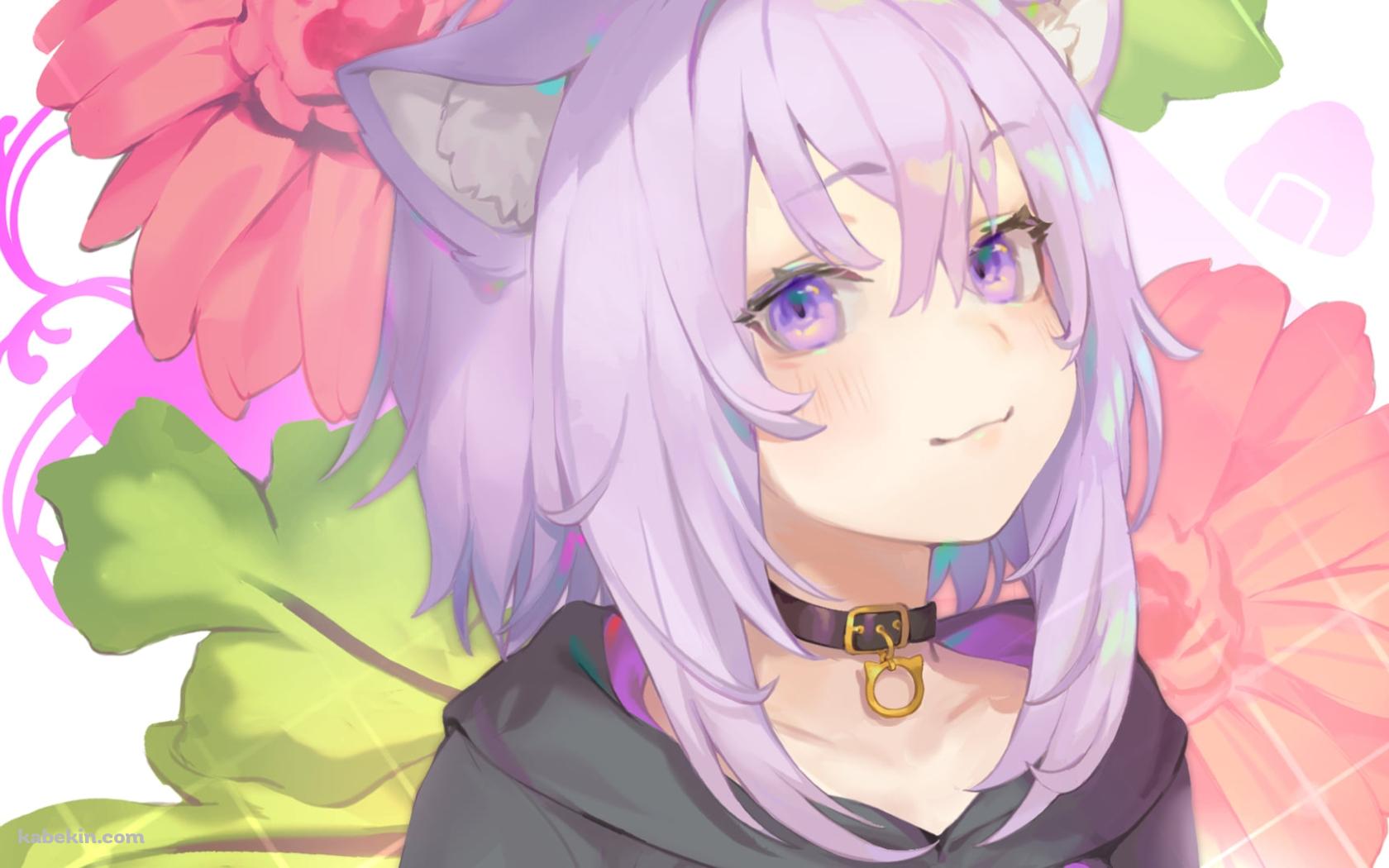 ピンクの花と猫又おかゆ / ホロライブ / バーチャルYouTuberの壁紙(1680px x 1050px) 高画質 PC・デスクトップ用