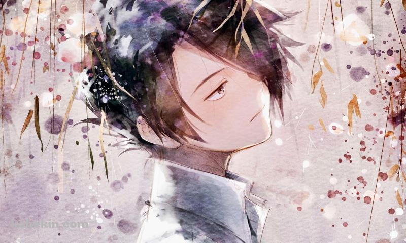 草木とレイ / 約束のネバーランドの壁紙(800px x 480px) 高画質 PC・デスクトップ用