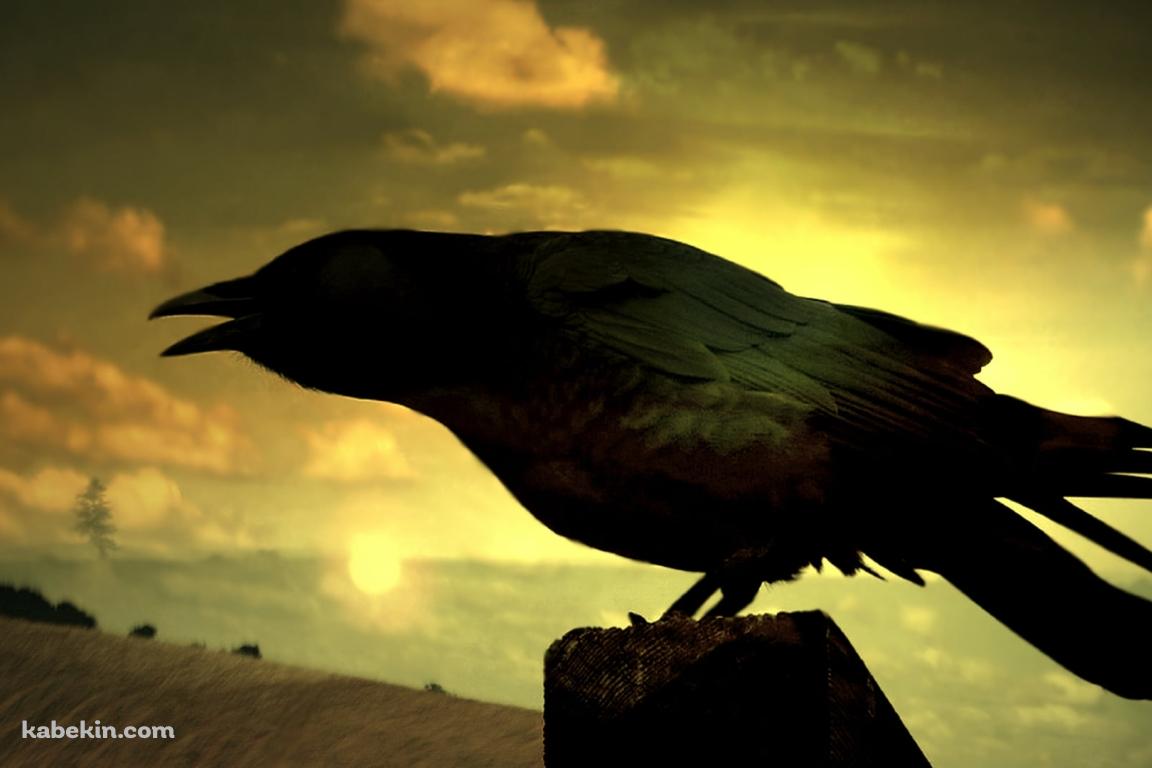 夕暮れ時、泣くカラスの壁紙(1152px x 768px) 高画質 PC・デスクトップ用