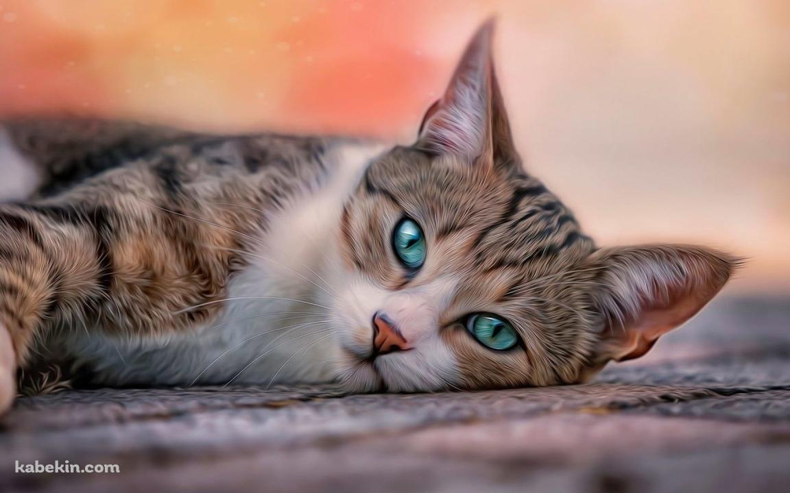 床に寝そべる緑の瞳の子猫の壁紙(1152px x 720px) 高画質 PC・デスクトップ用