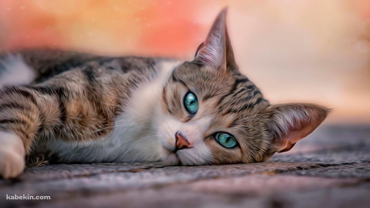床に寝そべる緑の瞳の子猫の壁紙(1280px x 720px) 高画質 PC・デスクトップ用