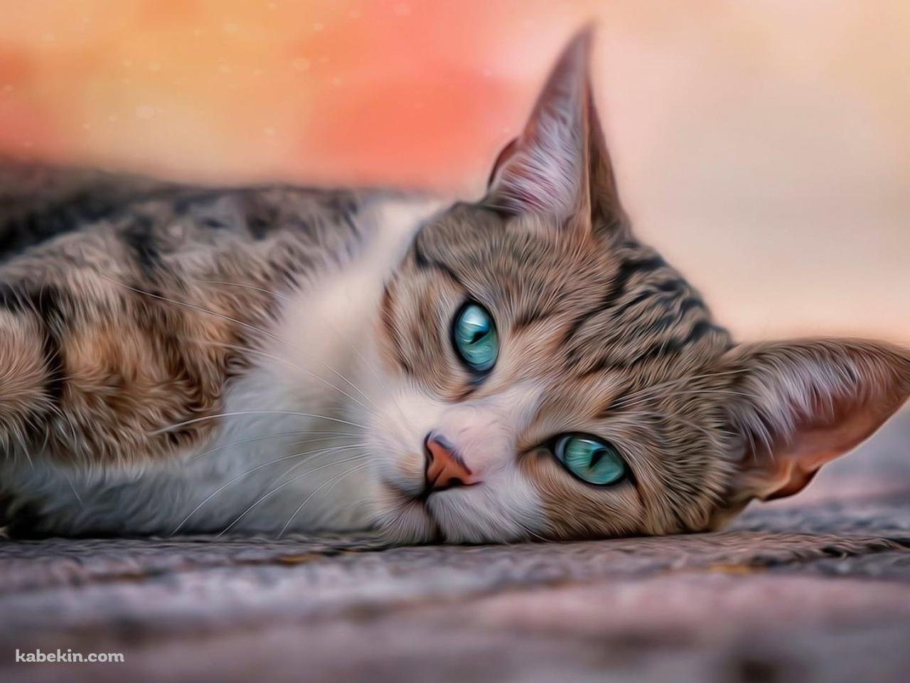 床に寝そべる緑の瞳の子猫の壁紙(1280px x 960px) 高画質 PC・デスクトップ用
