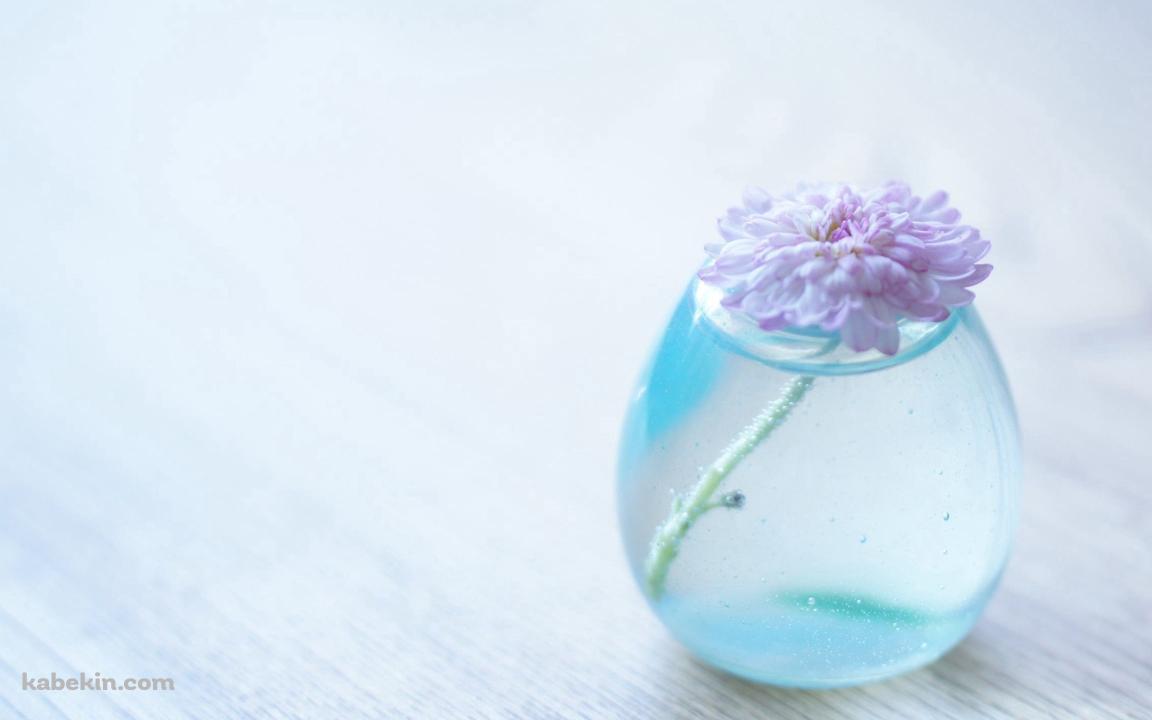 小さな花瓶に入ったピンクの花 / ミニマルの壁紙(1152px x 720px) 高画質 PC・デスクトップ用