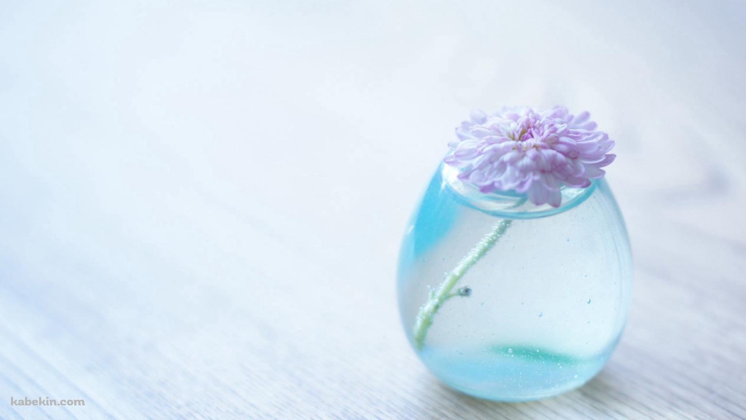 小さな花瓶に入ったピンクの花 / ミニマルの壁紙(1536px x 864px) 高画質 PC・デスクトップ用