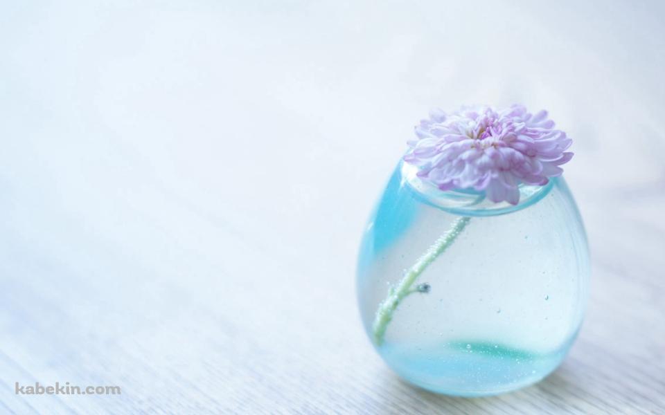 小さな花瓶に入ったピンクの花 / ミニマルの壁紙(960px x 600px) 高画質 PC・デスクトップ用