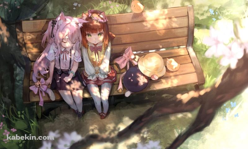 ベンチに座る如月と睦月 / アズールレーンの壁紙(800px x 480px) 高画質 PC・デスクトップ用