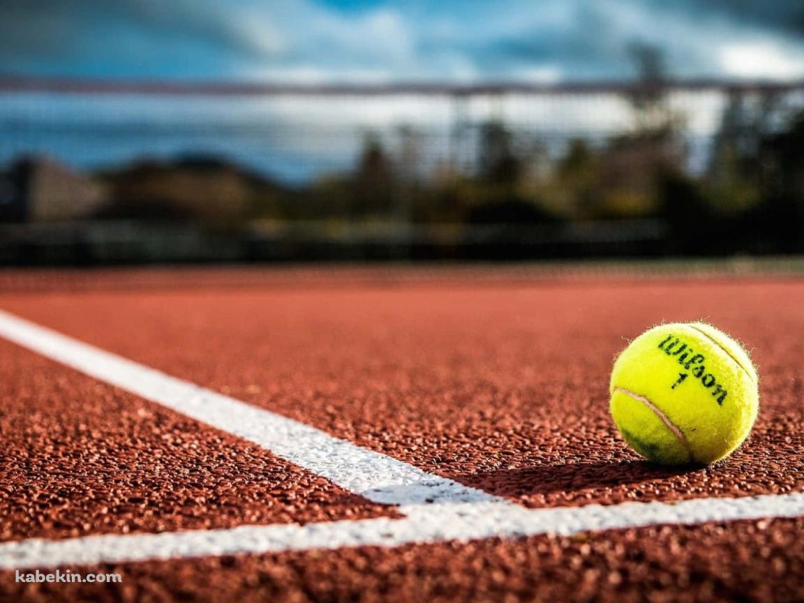 クレーコートとWilsonの黄色いテニスボールの壁紙(1152px x 864px) 高画質 PC・デスクトップ用