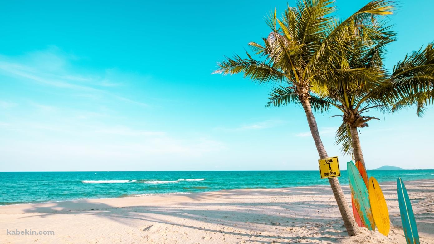 カラフルなサーフボードとビーチの壁紙(1391px x 783px) 高画質 PC・デスクトップ用