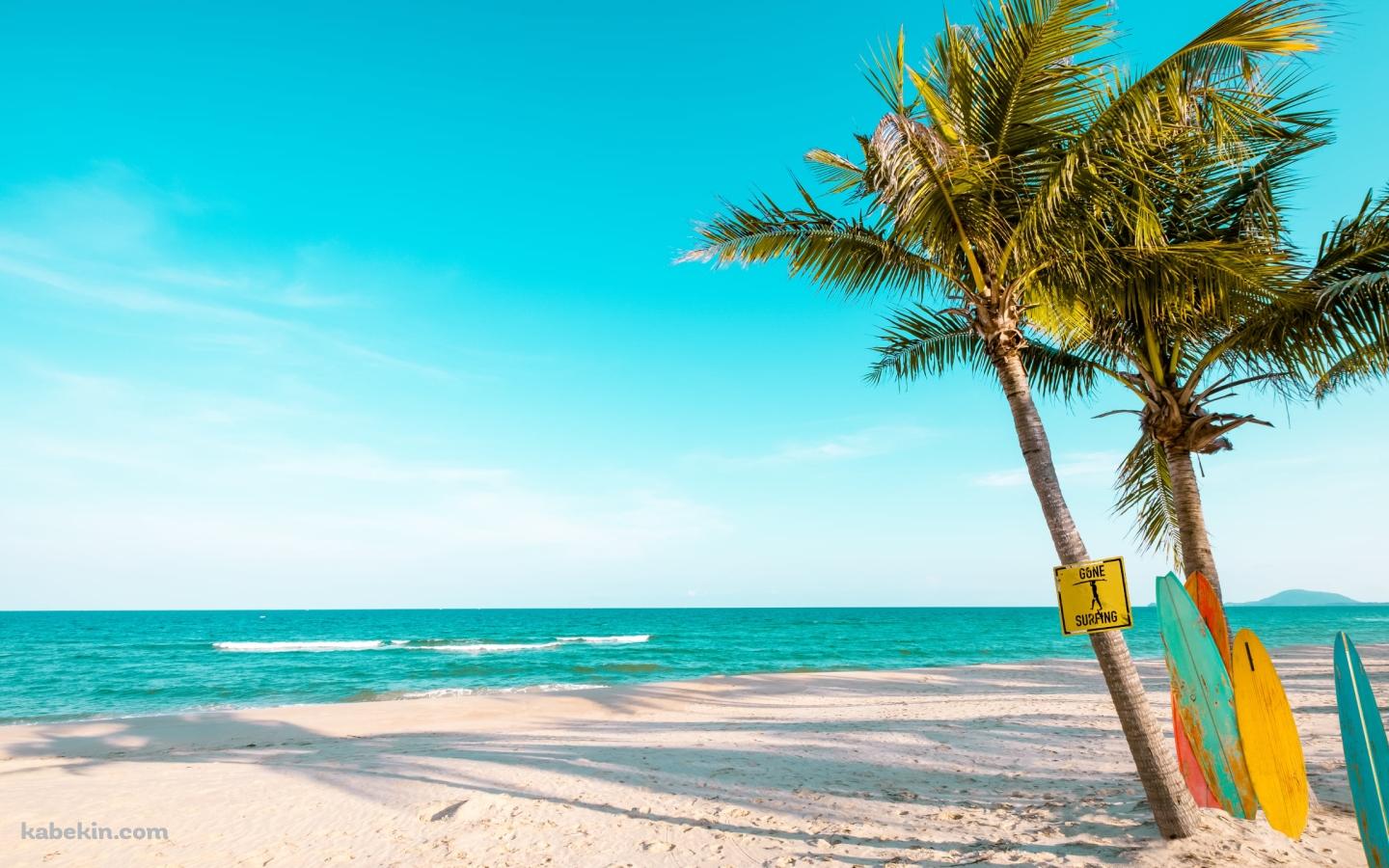 カラフルなサーフボードとビーチの壁紙(1440px x 900px) 高画質 PC・デスクトップ用