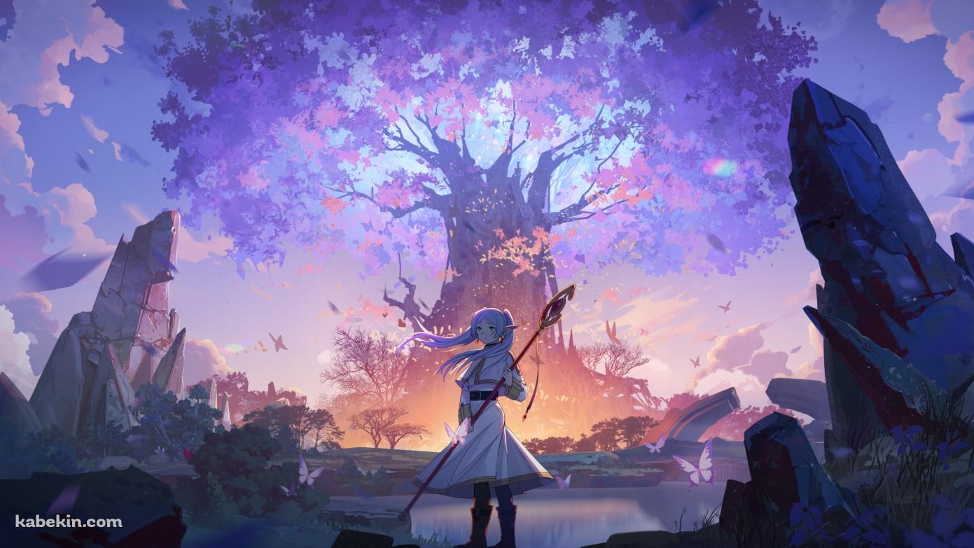 蒼月草 / 大樹 / フリーレン / 葬送のフリーレンの壁紙(1391px x 783px) 高画質 PC・デスクトップ用