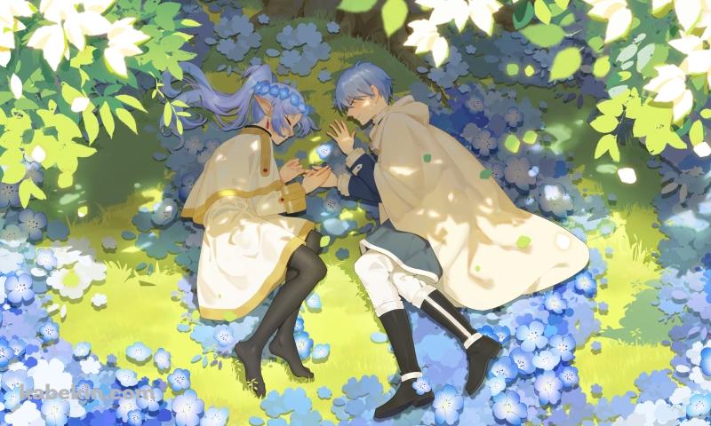 蒼月草の花の上で寝るフリーレンとヒンメル / 葬送のフリーレンの壁紙(800px x 480px) 高画質 PC・デスクトップ用
