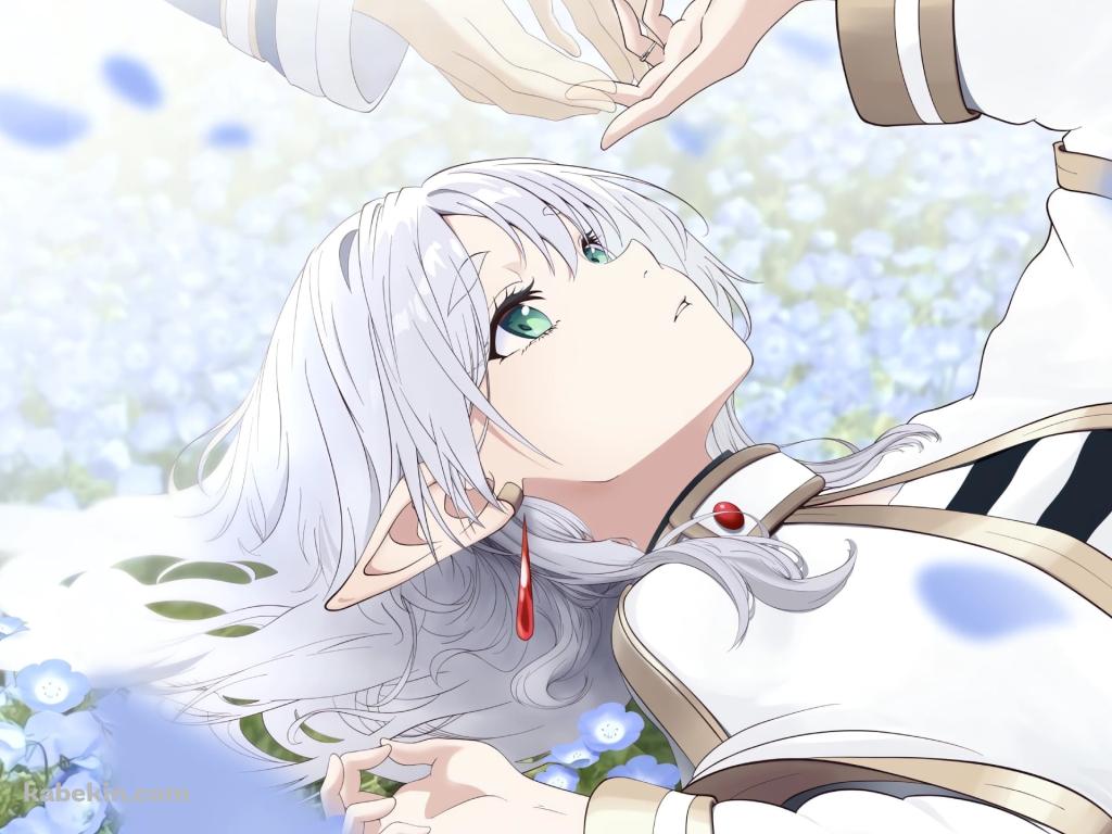 ヒンメルの手に触れるフリーレン / 蒼月草 / 葬送のフリーレンの壁紙(1024px x 768px) 高画質 PC・デスクトップ用
