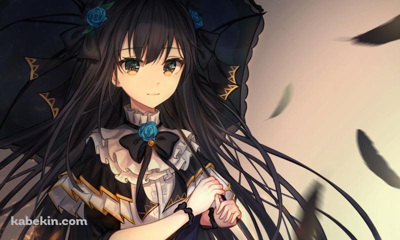 日傘をさす対立 / アーケアの壁紙(800px x 480px) 高画質 PC・デスクトップ用