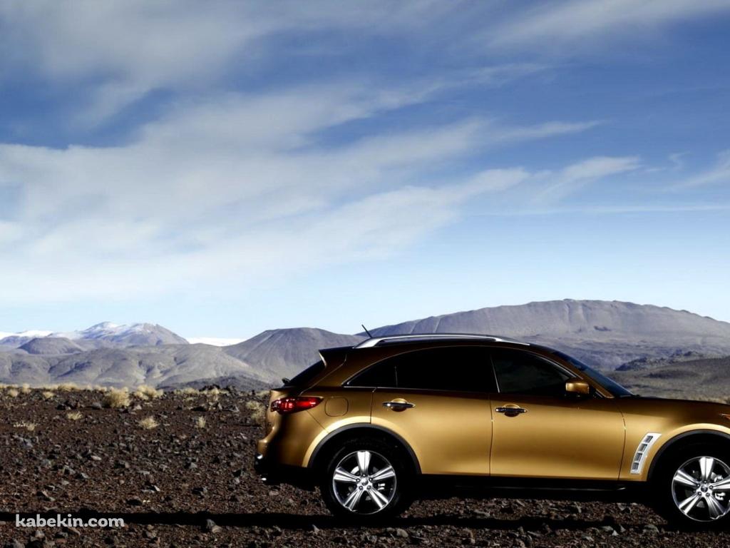 荒野とゴールドのインフィニティ・FXの壁紙(1024px x 768px) 高画質 PC・デスクトップ用