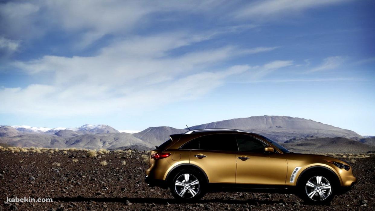 荒野とゴールドのインフィニティ・FXの壁紙(1242px x 698px) 高画質 PC・デスクトップ用