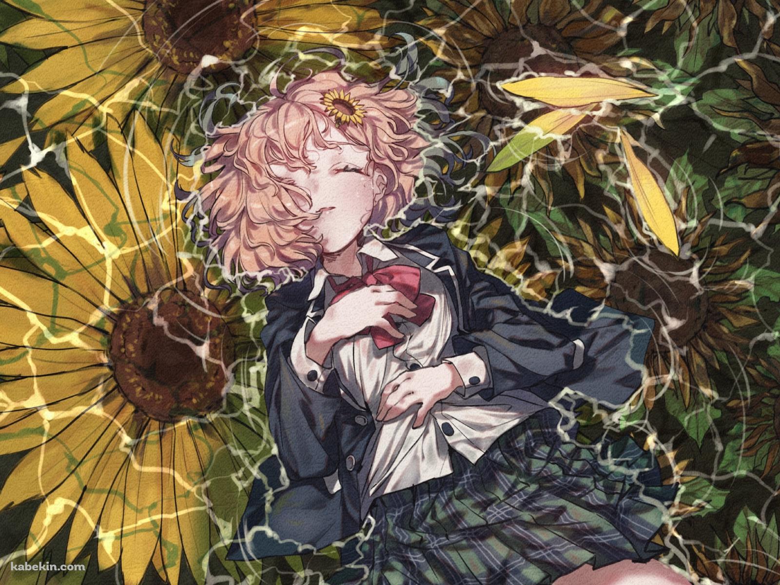 水に浮かぶ本間ひまわり / 向日葵の花 / にじさんじ / バーチャルライバーの壁紙(1600px x 1200px) 高画質 PC・デスクトップ用