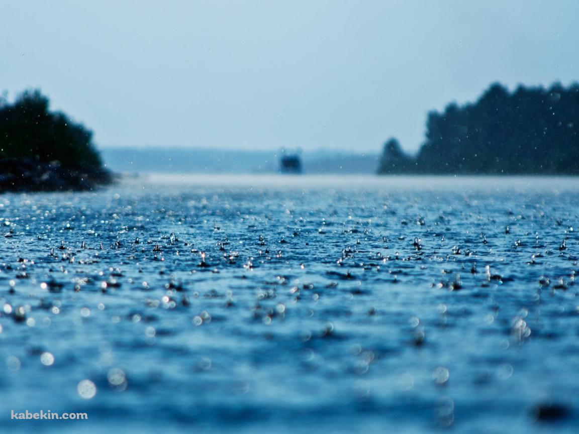 沢山の雨 / Rain Drop / 綺麗の壁紙(1152px x 864px) 高画質 PC・デスクトップ用