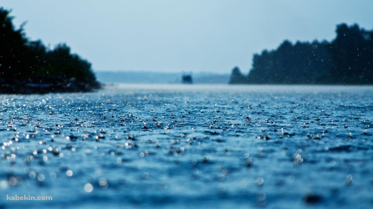 沢山の雨 / Rain Drop / 綺麗の壁紙(1242px x 698px) 高画質 PC・デスクトップ用