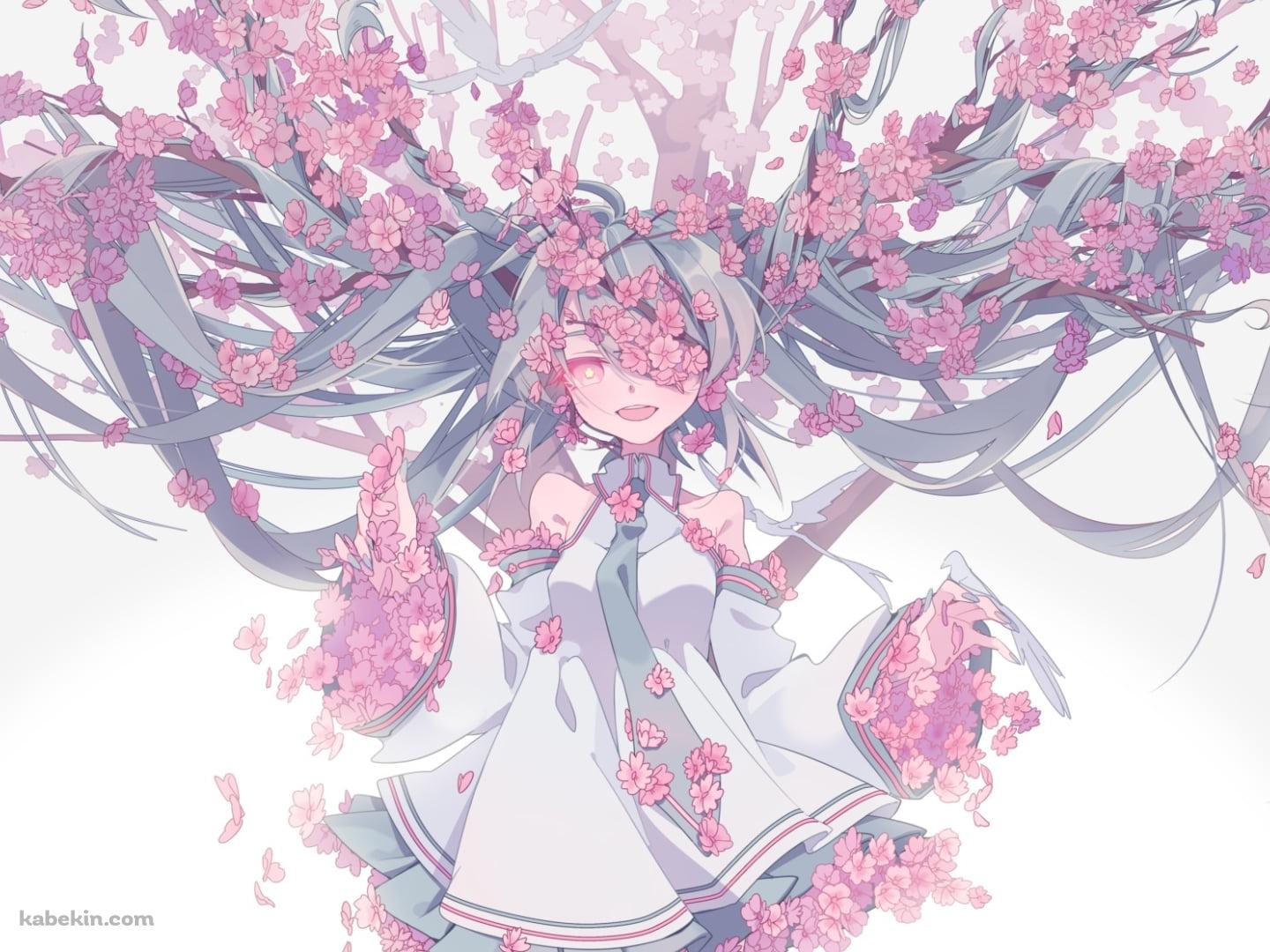 満開の桜と笑顔の初音ミク / ボカロの壁紙(1440px x 1080px) 高画質 PC・デスクトップ用