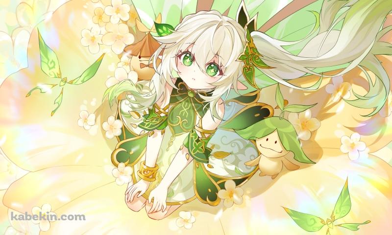 黄色い花の上に座るナヒーダ / アランナラ / 原神の壁紙(800px x 480px) 高画質 PC・デスクトップ用