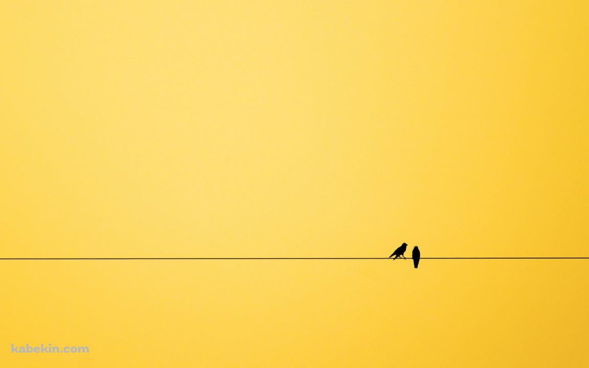 二羽の鳥と黄色い空の壁紙(1152px x 720px) 高画質 PC・デスクトップ用