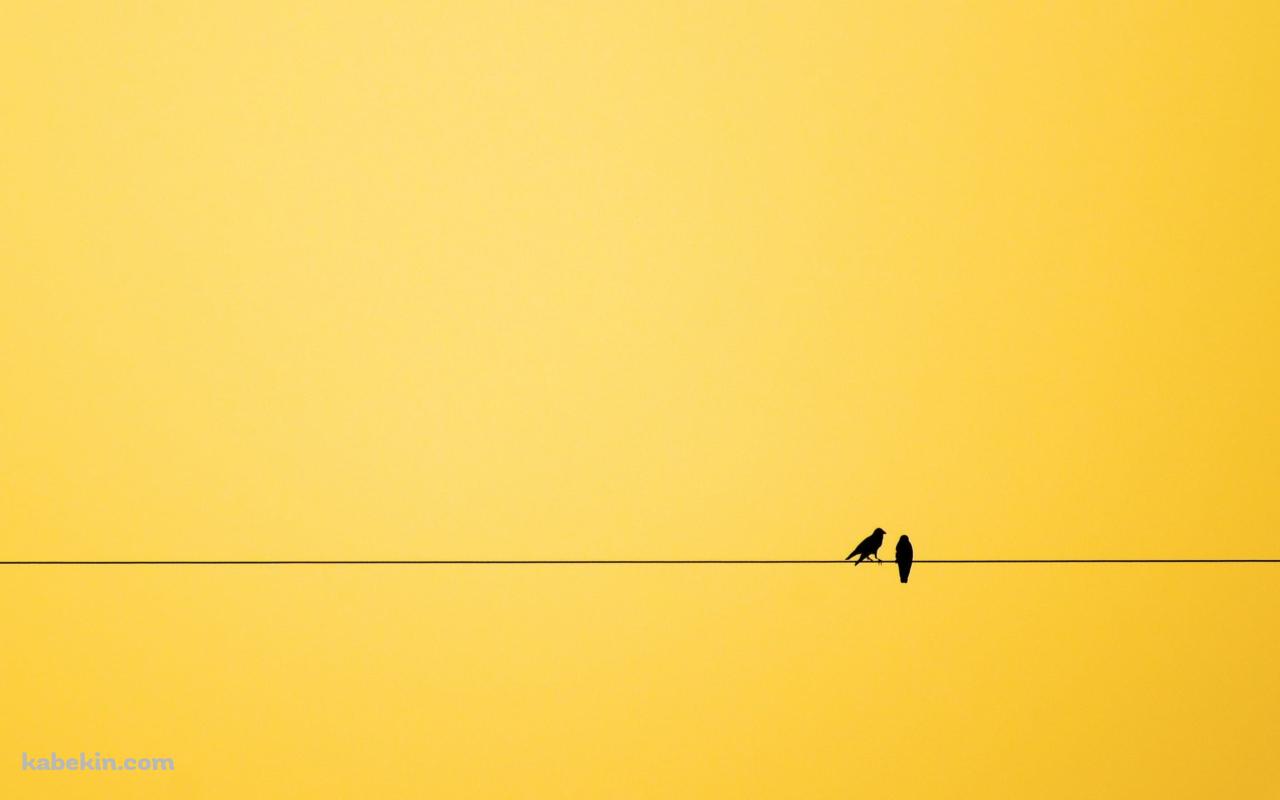 二羽の鳥と黄色い空の壁紙(1280px x 800px) 高画質 PC・デスクトップ用