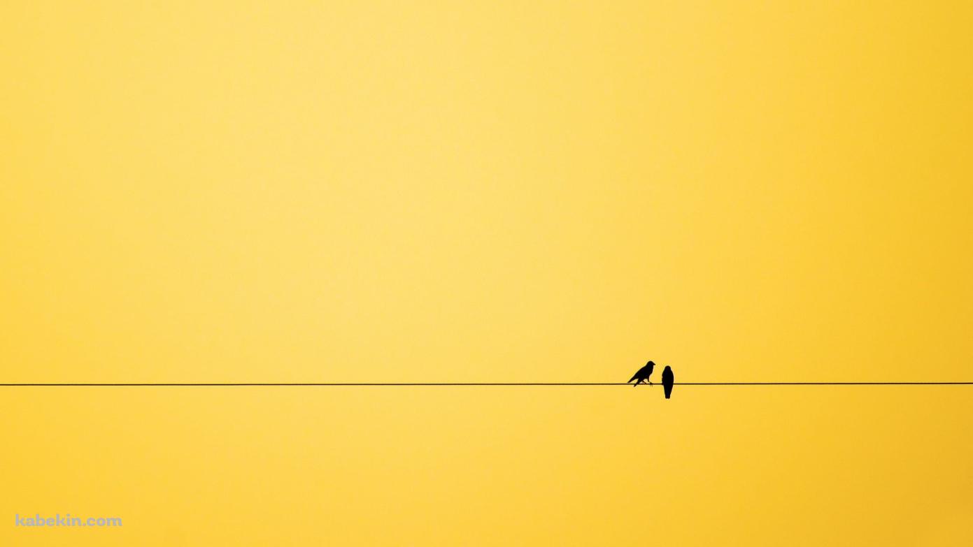 二羽の鳥と黄色い空の壁紙(1391px x 783px) 高画質 PC・デスクトップ用