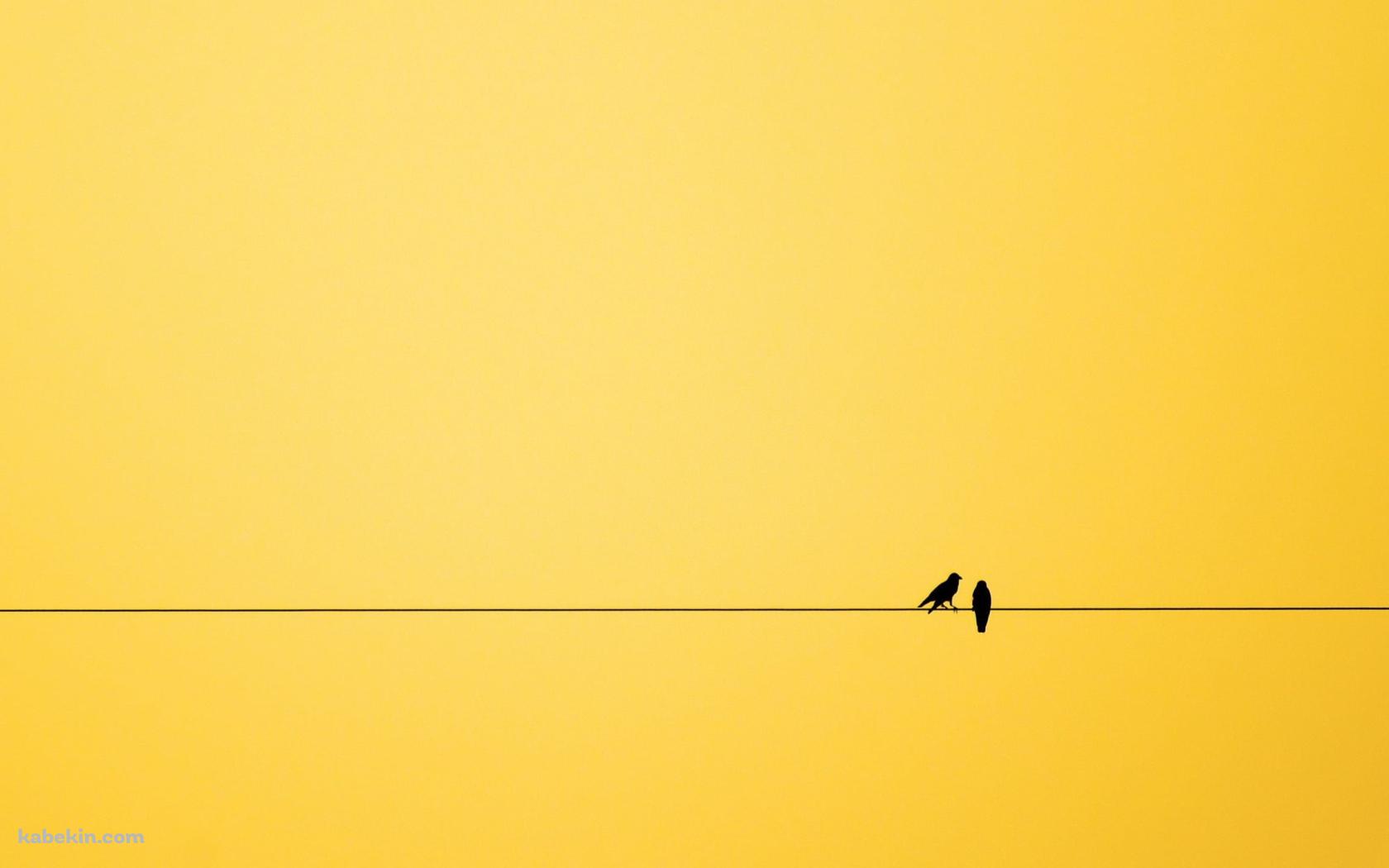 二羽の鳥と黄色い空の壁紙(1680px x 1050px) 高画質 PC・デスクトップ用