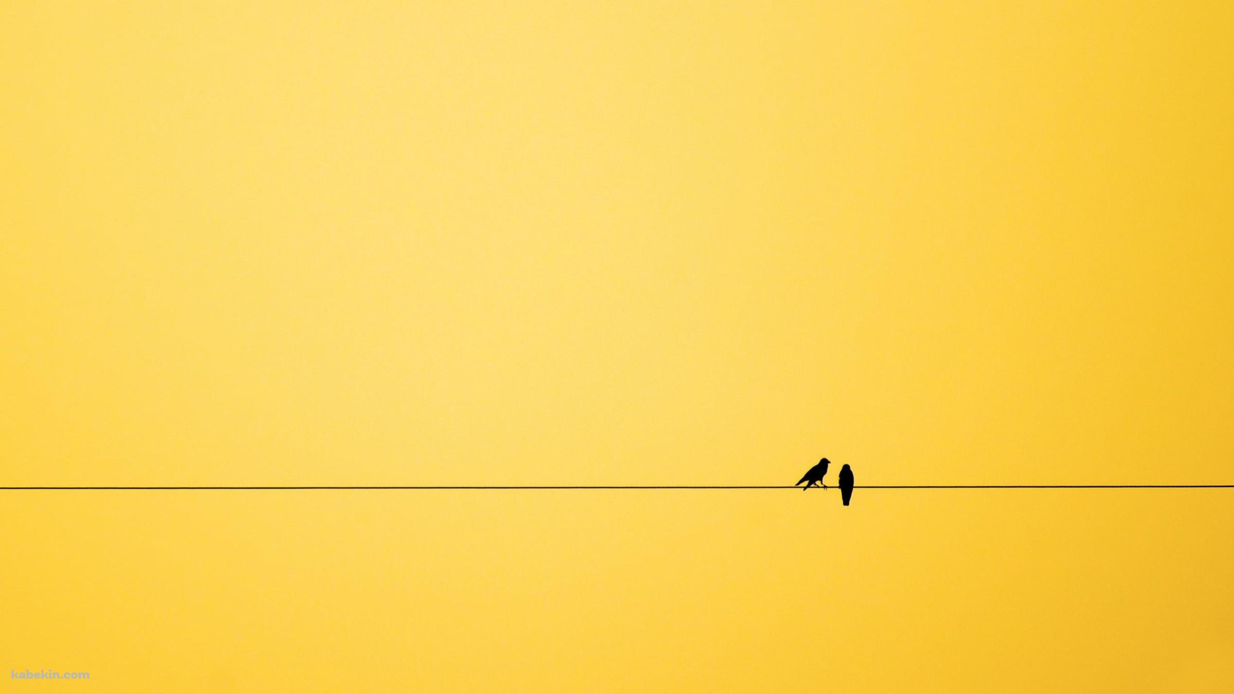 二羽の鳥と黄色い空の壁紙(2400px x 1350px) 高画質 PC・デスクトップ用