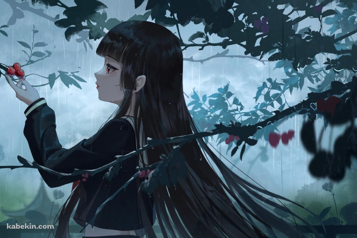 赤い果実を触る閻魔あい / 地獄少女の壁紙(1152px x 768px) 高画質 PC・デスクトップ用