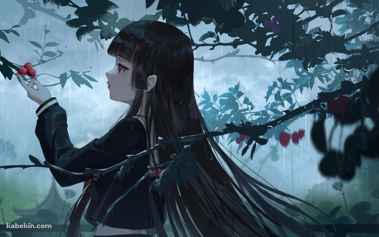 赤い果実を触る閻魔あい / 地獄少女の壁紙(1280px x 800px) 高画質 PC・デスクトップ用